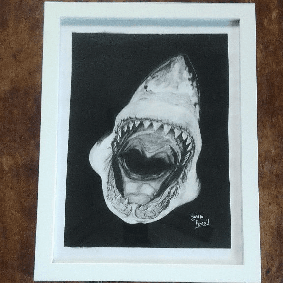 Intricate Great White Shark Charcoal Drawing