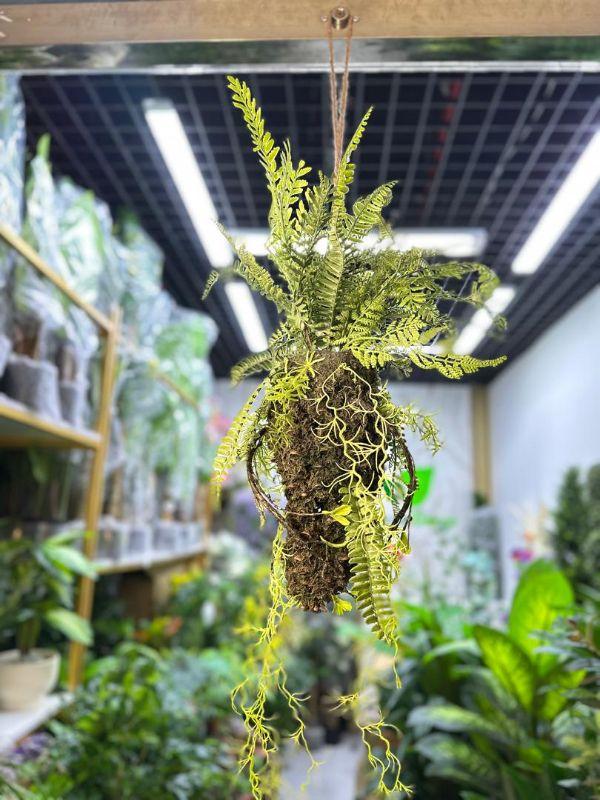 artificial fern plant