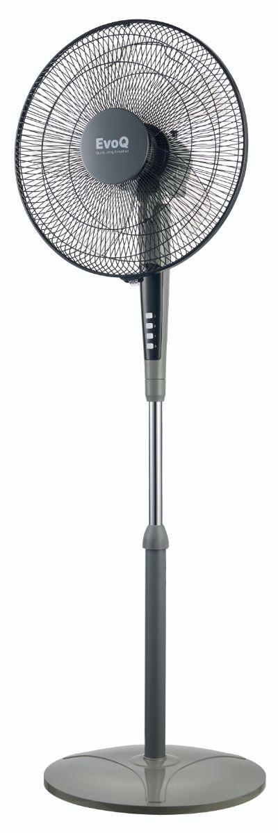 Standing Fan