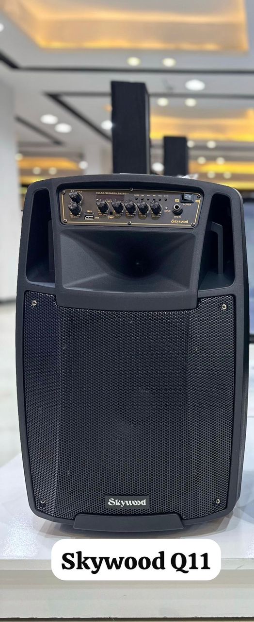 Skywood Q11 Speakers