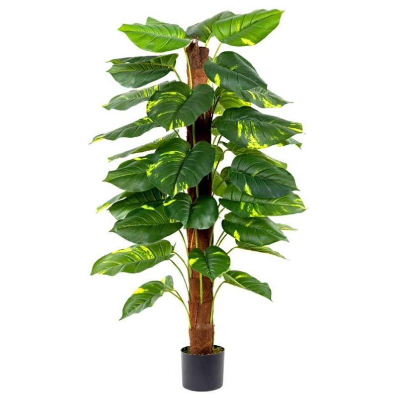 Artificial Money Plant (Monstera) – 120cm Realistic Indoor Decorative Tree