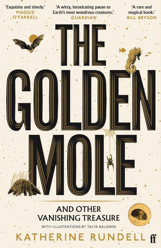 Vifaa The Golden Mole by Katherine Rundell